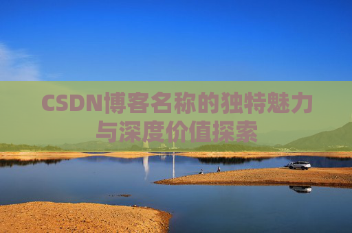 CSDN博客名称的独特魅力与深度价值探索
